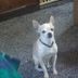 Profile Picture of Randy Barbee (@randy.barbee.50) on Facebook