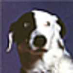 Doris & Jerry Beck-taylor - Flickr Profile Picture of Doris & Jerry Beck-taylor (@becktaylor) on Flickr