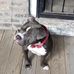 Profile Picture of Darnell Ross (@darnell.ross.547) on Facebook