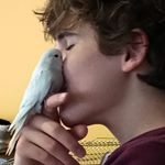 Profile Picture of Filip Stepanovski (@stepanovski03) on Instagram