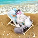 Profile Picture of Nancy Priest (@nancy.priest.7921) on Instagram