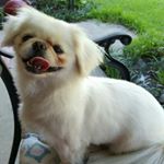 Profile Picture of Kathy Broadhead (@kathy.broadhead) on Instagram