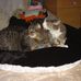 Profile Picture of Joyce Kwiatkowski (@joyce.kwiatkowski.7) on Facebook