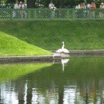 Profile Picture of Broadcarr (@broadcarrbert) on Instagram