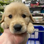 Profile Picture of Kyle Vick (@kylevick90) on Instagram