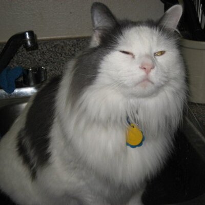 Profile Picture of Paxton (@Justin25Justin) on Twitter