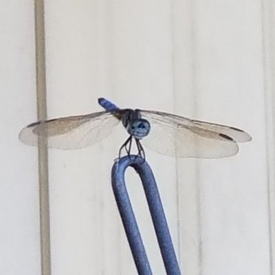 Profile Picture of Carl Hogan (@HoganCrail4life) on Twitter