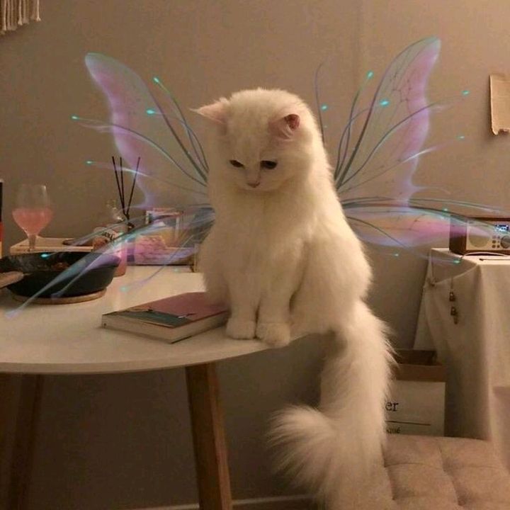 Profile Picture of David Markarian (@davidmarkarian7065) on Tiktok