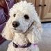 Profile Picture of Carol Lord (@carol.lord.188) on Facebook