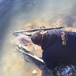 Profile Picture of Anthony Moscato (@anthony.moscato.33) on Instagram