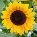 Profile Picture of Robin Klein (@robin.klein.737001) on Facebook