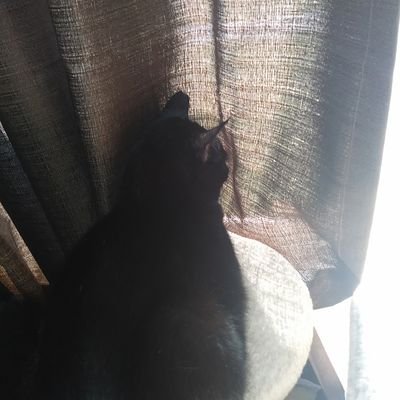 Profile Picture of _Dark_Neo (@JosephKiley4) on Twitter