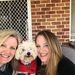 Profile Picture of Eileen Tindall (@eileent1816) on Pinterest