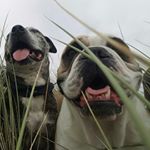 Profile Picture of Gillian McFarlane (@mcfarlanegillian) on Instagram