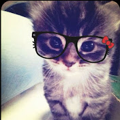 Profile Picture of Myluv (@winonawaukechon9967) on Youtube