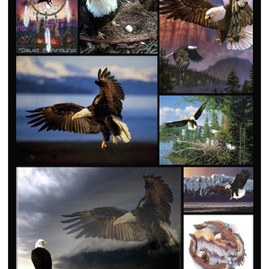 Profile Picture of Lyle Mohr (@lylemohr) on Myspace