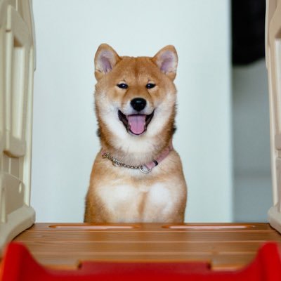 Profile Picture of Ken Vu (@ken_phuongvu) on Twitter