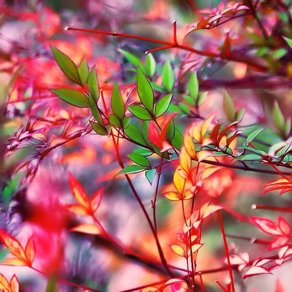 Profile Picture of Chavala Harris (@melita81) on Poshmark