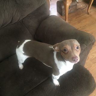 Profile Picture of Howard Benoit (@howard.benoit.5) on Facebook