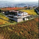 Profile Picture of Cantine Iannella_winery (@cantineiannella_winery) on Instagram