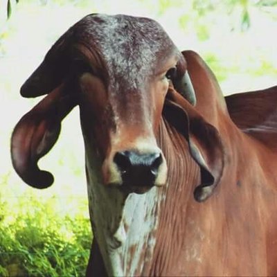 Profile Picture of Felipe Salgado (@felipesalgado46) on Twitter