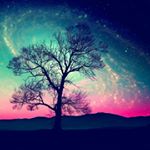 Profile Picture of Jay willette (@jaywillette) on Instagram