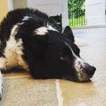 Profile Picture of Leeanne Pearson (@smurfy100) on Instagram