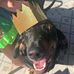 Profile Picture of Geoffrey Miller (@geoffrey.miller.5036) on Facebook