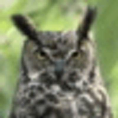 Profile Picture of Marlene Osborneon Twitter