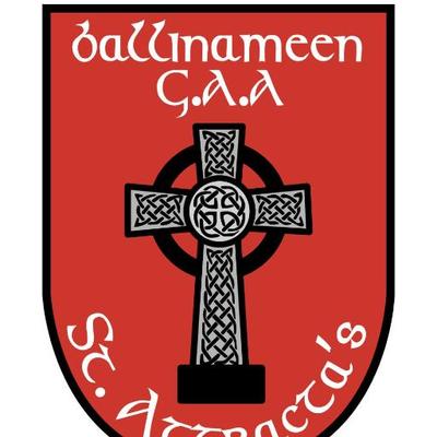 Profile Picture of Ballinameen GAA (@Ballinameen_GAA) on Twitter