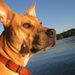 Profile Picture of Paul macdonnell (@route4w) on Pinterest