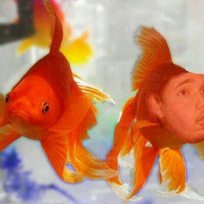 Profile Picture of Jake Isaacson (@JakeIsaacsen) on Twitter