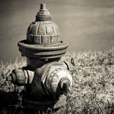 Scott Wickham - Twitter Profile Picture of Scott Wickham (@BAFD234) on Twitter