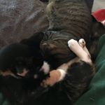 Profile Picture of Mark Hartel (@markahartel) on Instagram