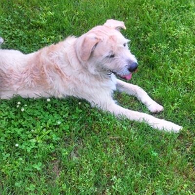 Profile Picture of Carla Starks (@StarksCarla) on Twitter