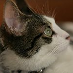 Profile Picture of Grady Gibbons (@gradygibbons) on Instagram