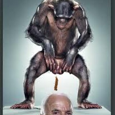 Tom Stansberry - Twitter Profile Picture of Tom Stansberry (@StansberryTom) on Twitter