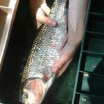 Profile Picture of Nicholas luffman (@nicholasluffman) on Instagram