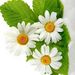 Profile Picture of María Luz Balderas García (@maraluzbalderasgarca) on Pinterest