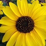 Profile Picture of Mary Catherine Fedor Kibler (@fedormary) on Instagram