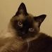 Profile Picture of Laurie CampbellMortimer (@laurie.campbellmortimer) on Facebook