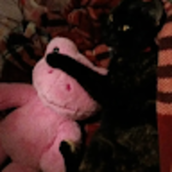 Profile Picture of Sage Kreitz (@kreitzmadison) on Poshmark