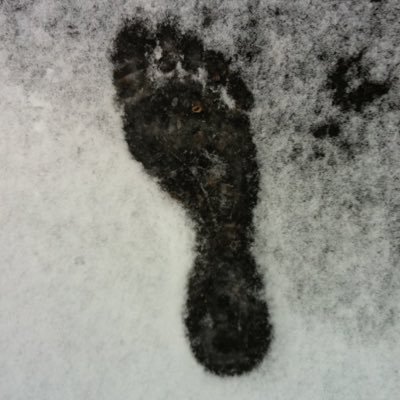 Profile Picture of Timothy Shenk (@skiboarder75) on Twitter