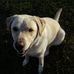 Profile Picture of Brett Scully (@brett.scully.9) on Facebook