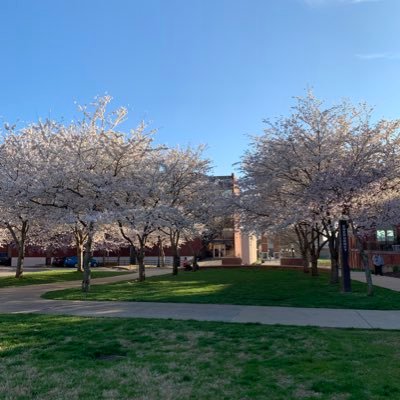 Profile Picture of Krista Steenbergen (@kbergen03) on Twitter