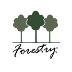 Profile Picture of FORESTRY - REFLORESTAMENTOS (@forestrybrazil) on Instagram