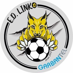 Profile Picture of Escuela Linko (@LINKOavila) on Twitter