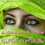 Profile Picture of Mian Shaf (@mianshaf) on Instagram