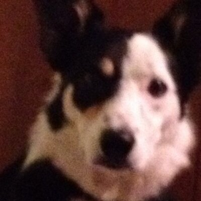 Profile Picture of Doug Weldon (@weldon27) on Twitter
