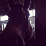 Profile Picture of Lisa kropp (@lisa_kropp12) on Instagram